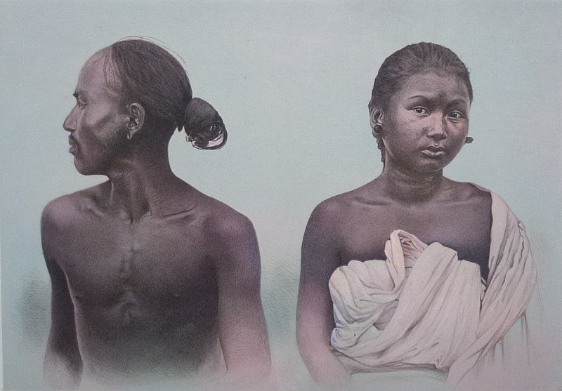 Please read the article